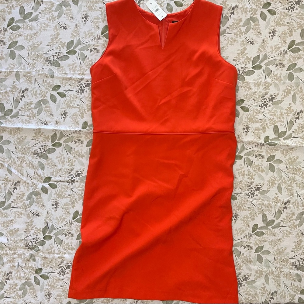 Ann Taylor Sheath Dress with Notch Collar